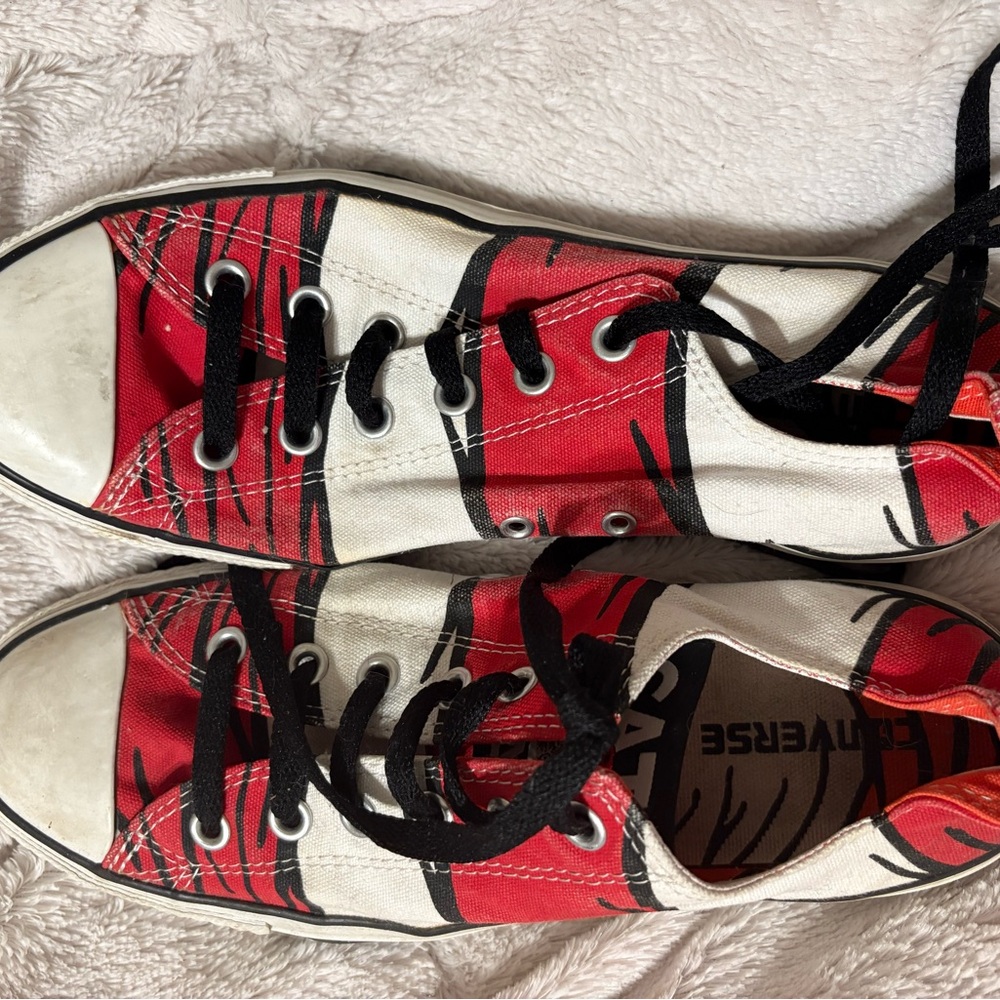 Cat in the Hat Converse sz 10